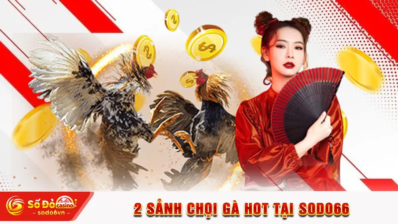 2 sảnh chọi gà hot tại SODO66